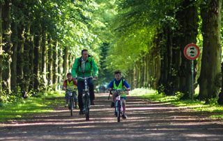 Aangenaam fietsen in een groene omgeving