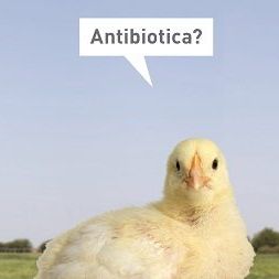 Logo efficiënt antibioticagebruik