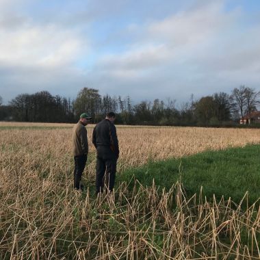 Wimpboeren