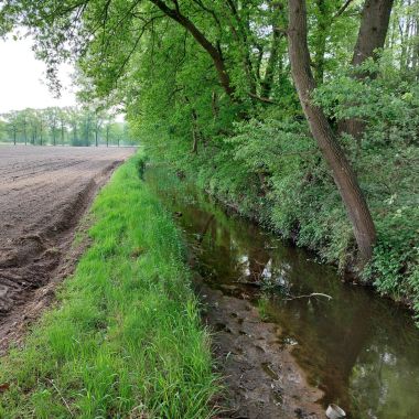 Valleiherstel aan de Aa in Oud-Turnhout