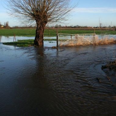 Overstromingsgebied De Raafkens