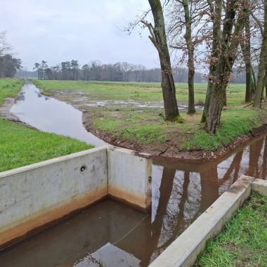 Provinciaal overstromingsgebied Kwikaard