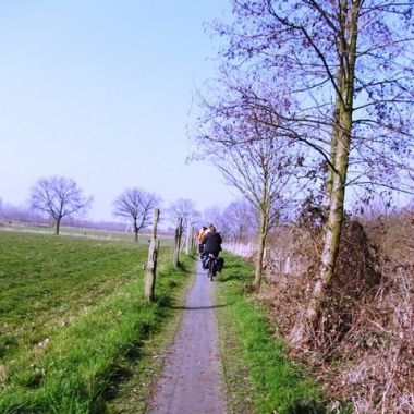 Trage wegen