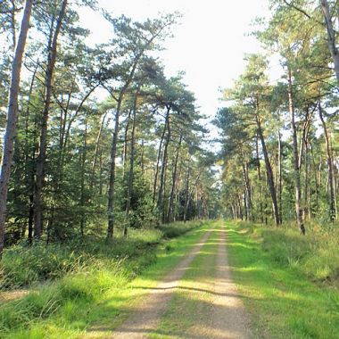 Talanderwandeling