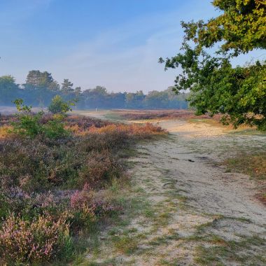 Zelf iets organiseren op de Kesselse Heide?