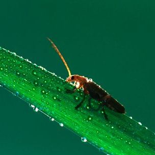 Kalender Prinsenpark