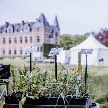 Veelgestelde vragen