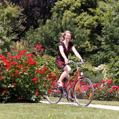 fietsster tussen de rozen