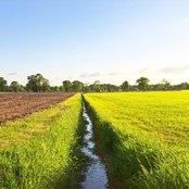 Bovenloop stroomgebied Kleine Aa (Kalmthout)