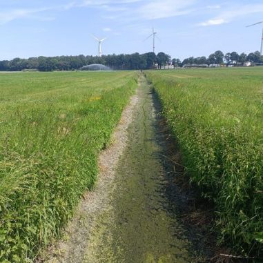 Droogte in het Maasbekken