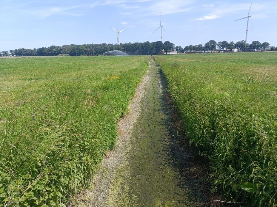 Droogte in het Maasbekken