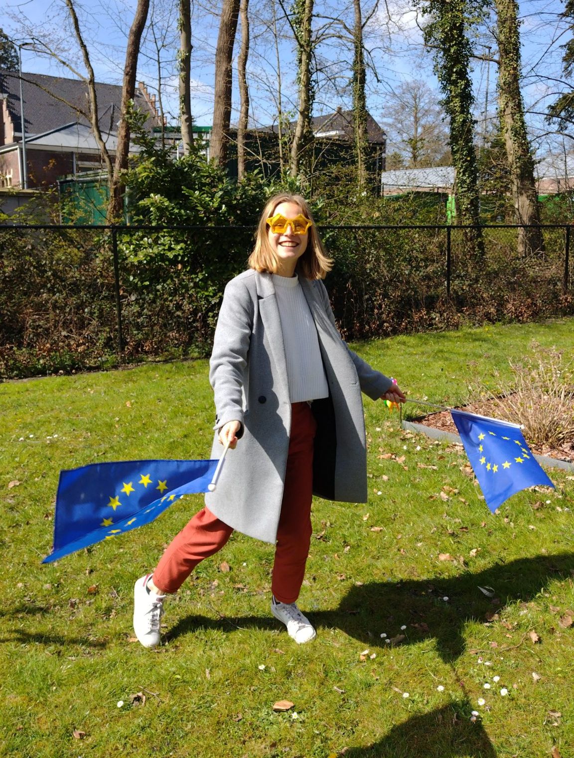 Stagiaire Lien met Europavlaggetjes