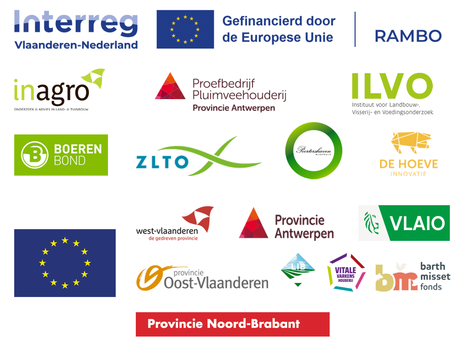 logobanner RAMBO BLOK