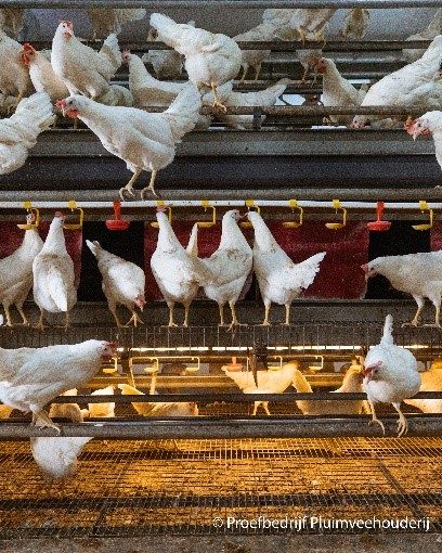 FOTO 2 PERSBERICHT RAMBO