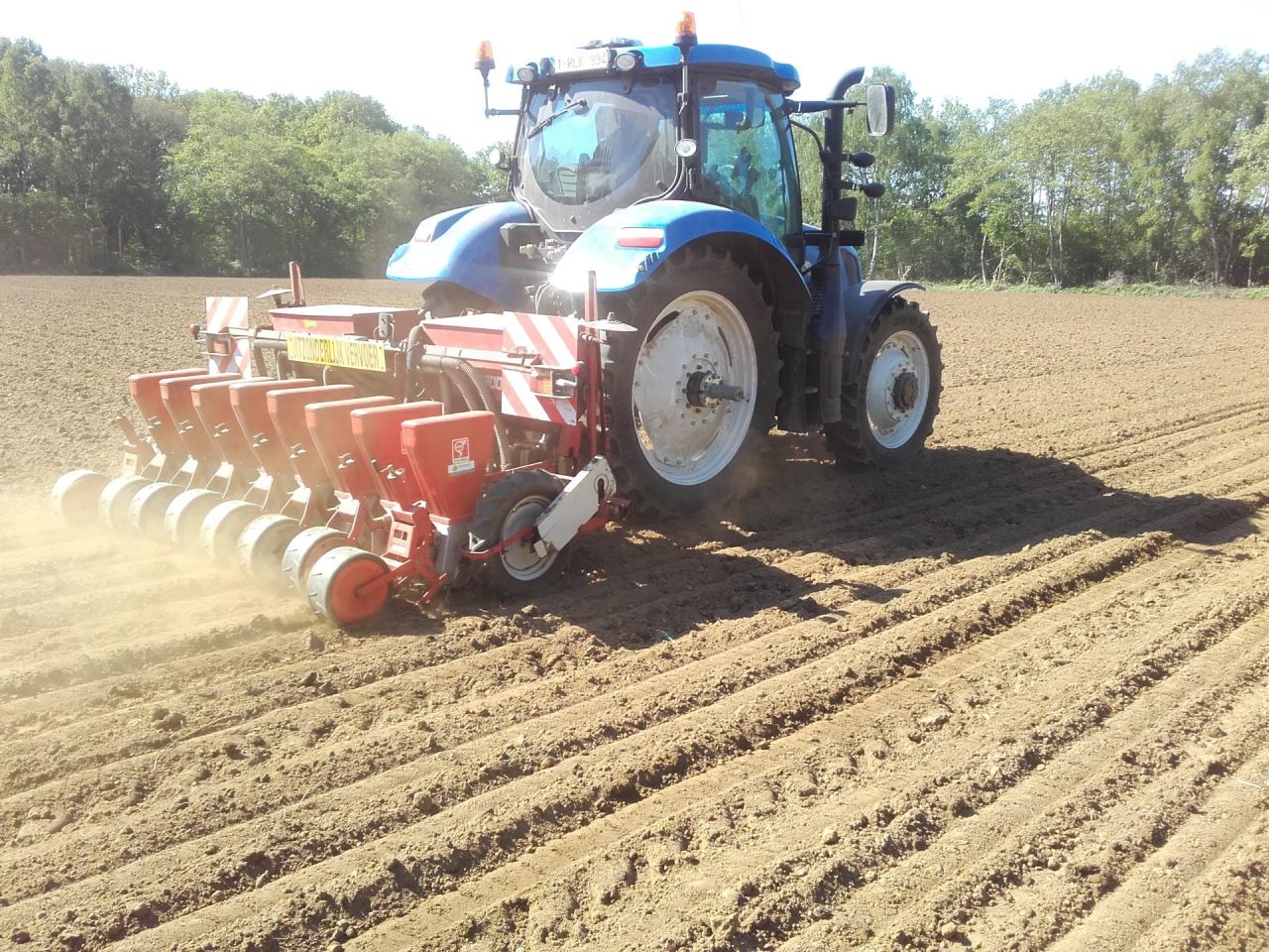 inzaai sorghum Poederlee 2019