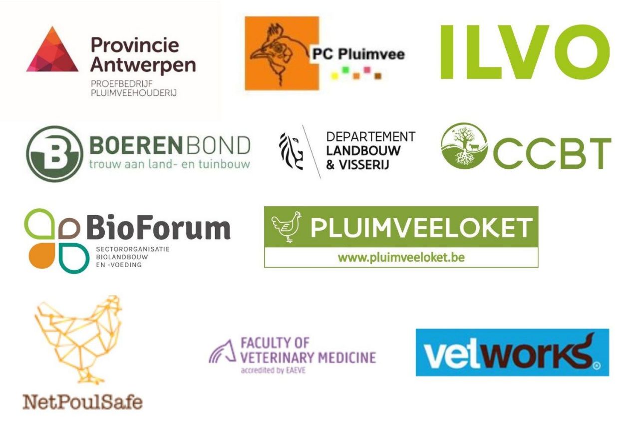 Logobalk studiedagen leghennen 2023