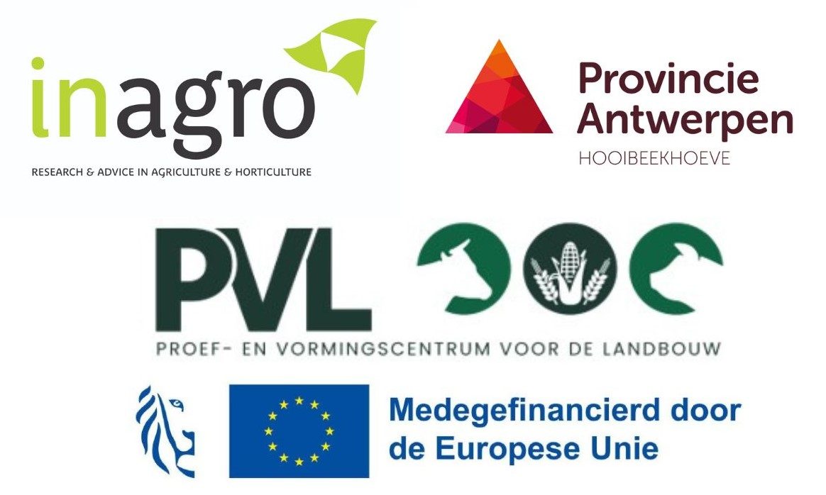 Logobalk MestMatch