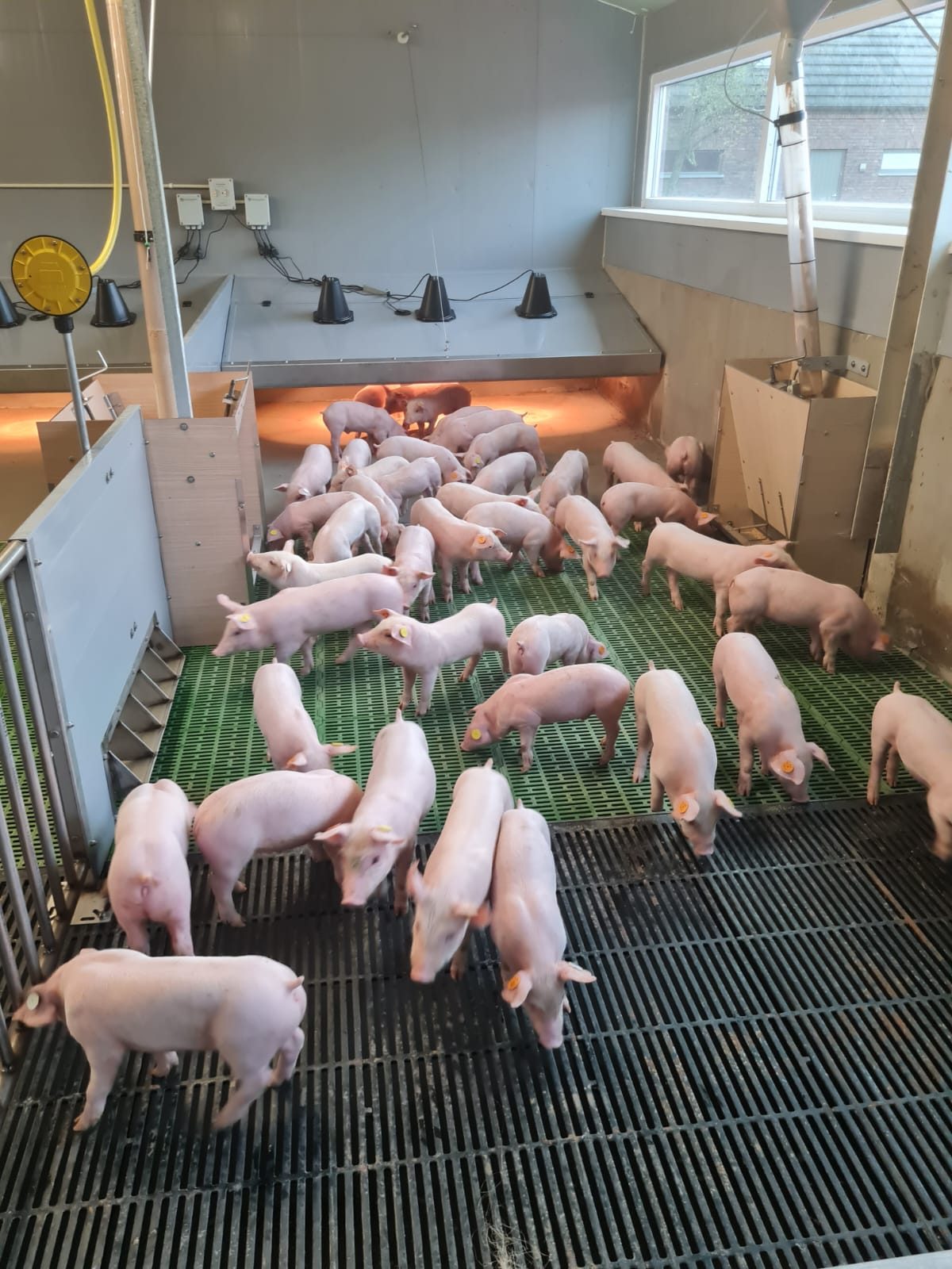 Veng-systeen Tour de boer 2 RAMBO