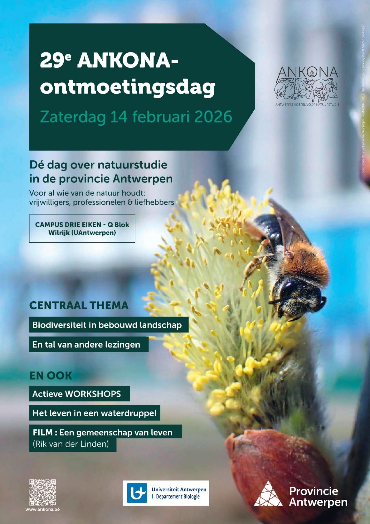 Promoposter ANKONA-ontmoetingsdag 2026