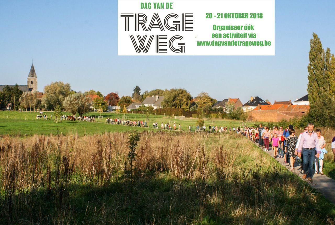 DTW_groep