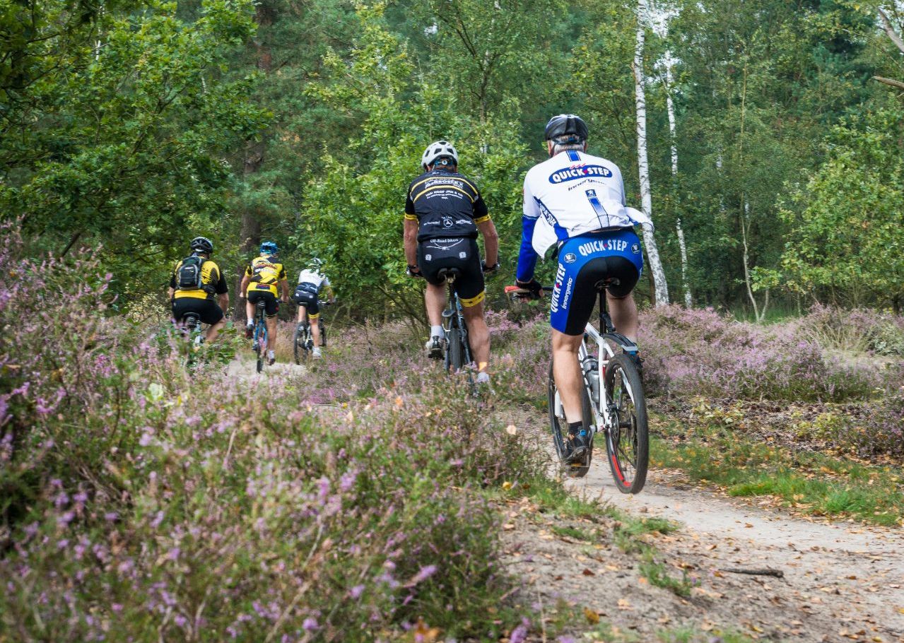 Ook de landduinenroute die je met de mountainbike aflegt loopt door de opengestelde bossen.