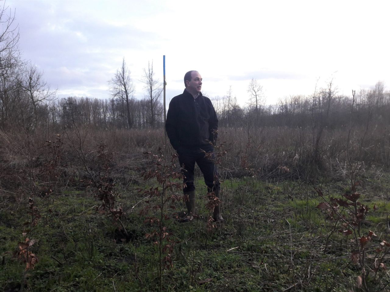 Bosgroepen provincie Antwerpen boseigenaar