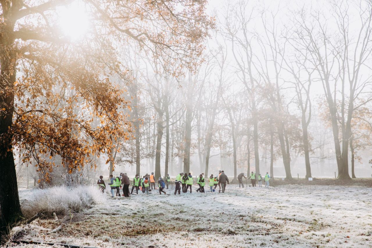 Aanplanting Bosgroepen provincie Antwerpen stadsbos Turnhout