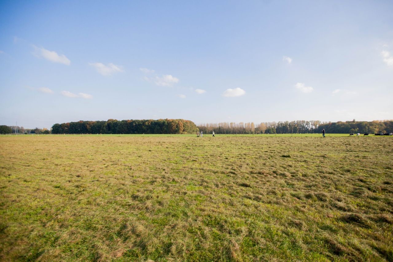 Landbouwgronden en boscomplex Hove