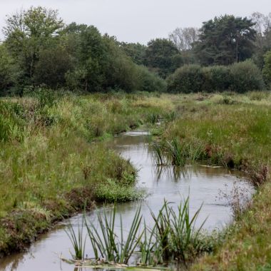 De Scherpenbergloop meandert door de vallei