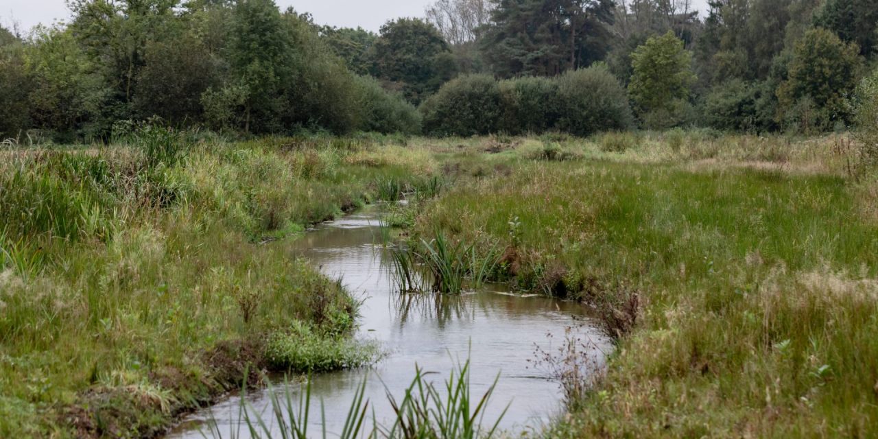 De Scherpenbergloop meandert door de vallei