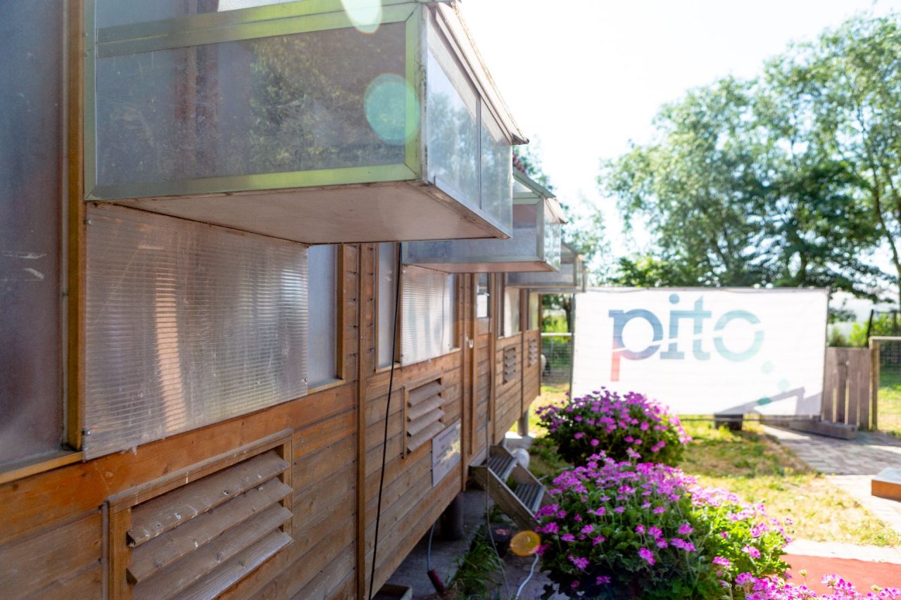 PITO Duiventil