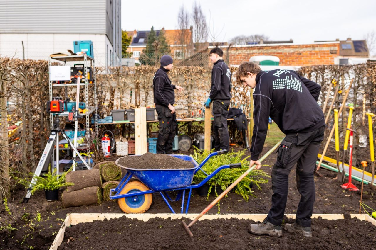 Beloftevolle hovenier