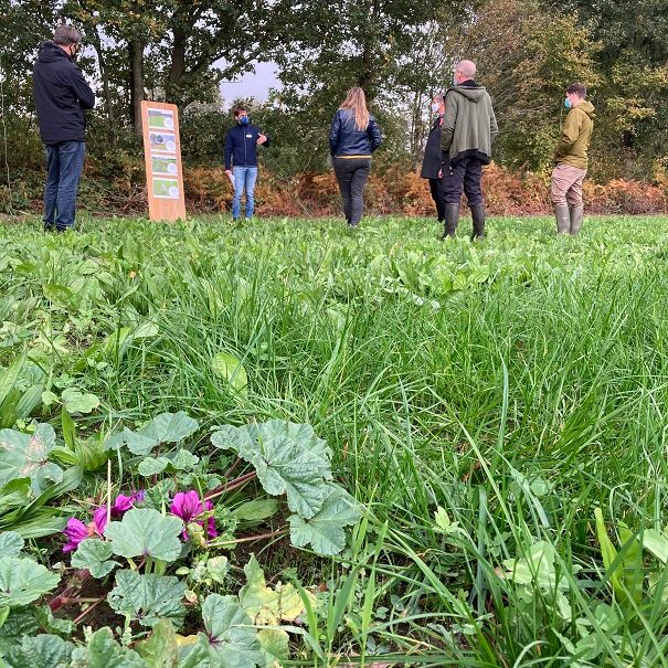 Bezoekers demodag beek.boer.bodem luisteren naar uitleg gemengde kruidenranden
