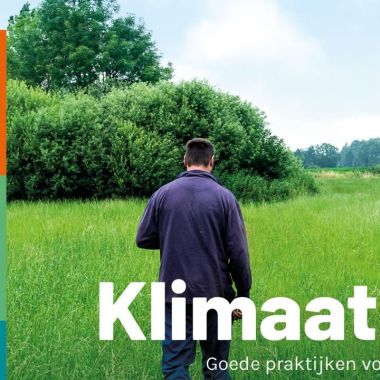 De cover van de brochure 'Klimaatboeren', ondertitel 'Goede praktijken voor landbouw, water en bodem'. Op de cover staat een persoon in een blauwe overall  (op de rug gezien) die door een veld met  een kniehoog gewas loopt.