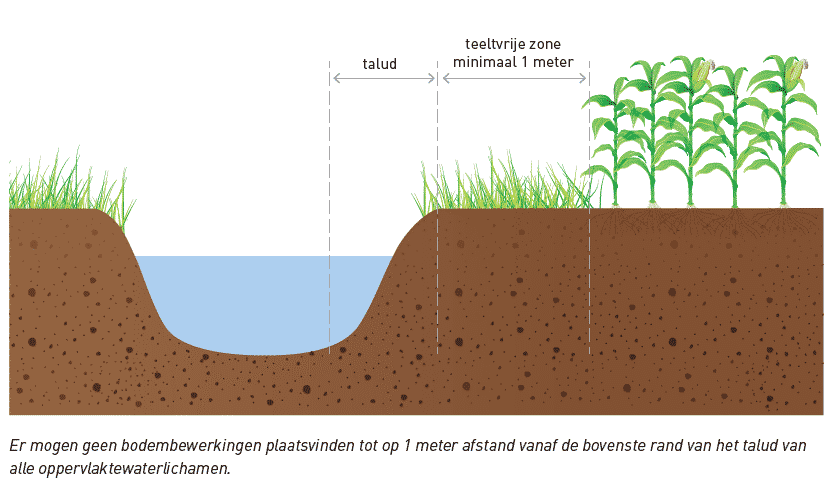 Een dwarsdoorsnede van de bodem toont dat je de bodem pas mag bewerken vanaf minimaal 1m van wateroppervlakken (beken, meren,...) 