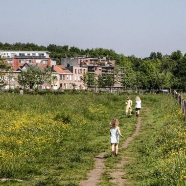 Kinderen lopen op een zandpad tussen velden vol gele bloemen in domein Ertbrugge. Verderop zie je een woonwijk liggen. 