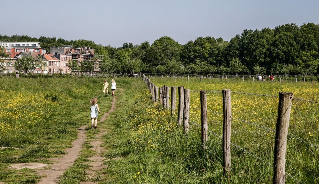 Kinderen lopen op een zandpad tussen velden vol gele bloemen in domein Ertbrugge. Verderop zie je een woonwijk liggen. 