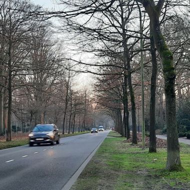 Auto's rijden bij valavond over de Houtlaan in Schilde. Deze is omzoomd met bomen en groen, met hier en daar een woning. 