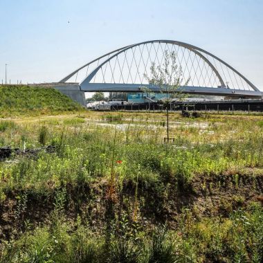 Een moderne boogbrug is aichtbaar op de achtergrond. Een boot vaart op het kanaal onder de brug door. Vooraan is een groenzone met wilde planten.
