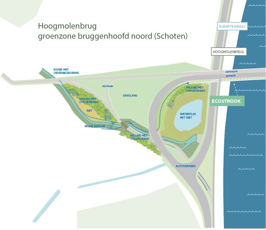 Plattegrond van bruggenhoofd noord Hoogmolenbrug toont groenzone met waterplas en beplantingen, fiets- en autopaden.
