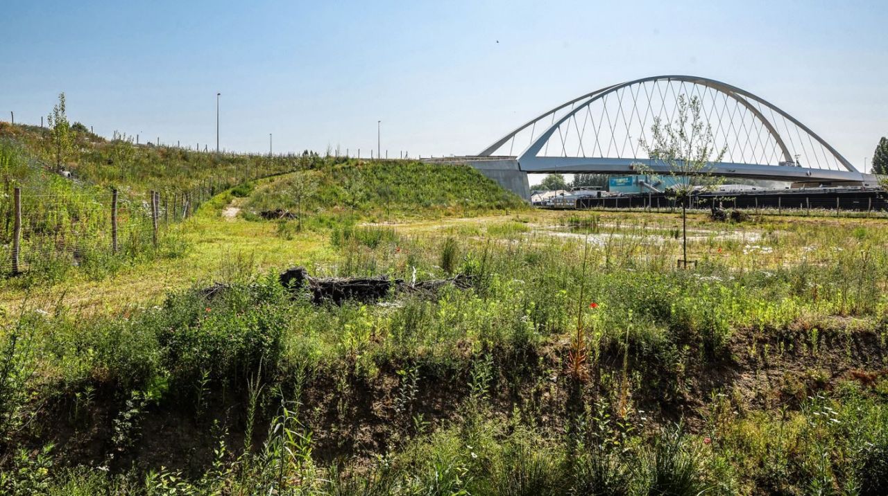 Een moderne boogbrug is aichtbaar op de achtergrond. Een boot vaart op het kanaal onder de brug door. Vooraan is een groenzone met wilde planten.