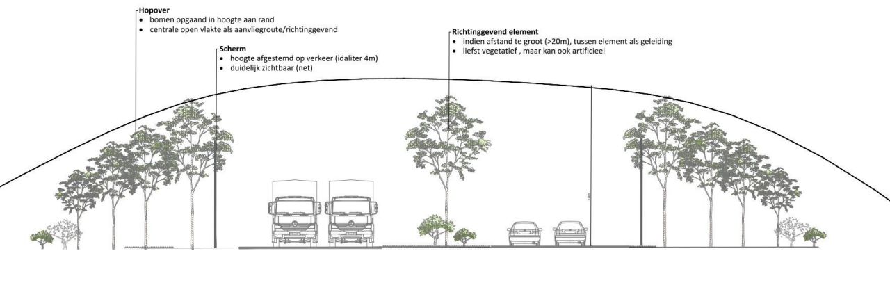 Ontwerpschets toont stapgsgewijs hogere bomen langs de A12. Vogels en vleermuizen worden zo verplicht om hoger te vliegen en zo veilig de snelweg over te steken, zonder dat auto's of vrachtwagens hen aanrijden.