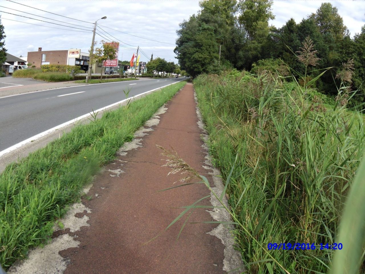 Rodendijk in Zoersel