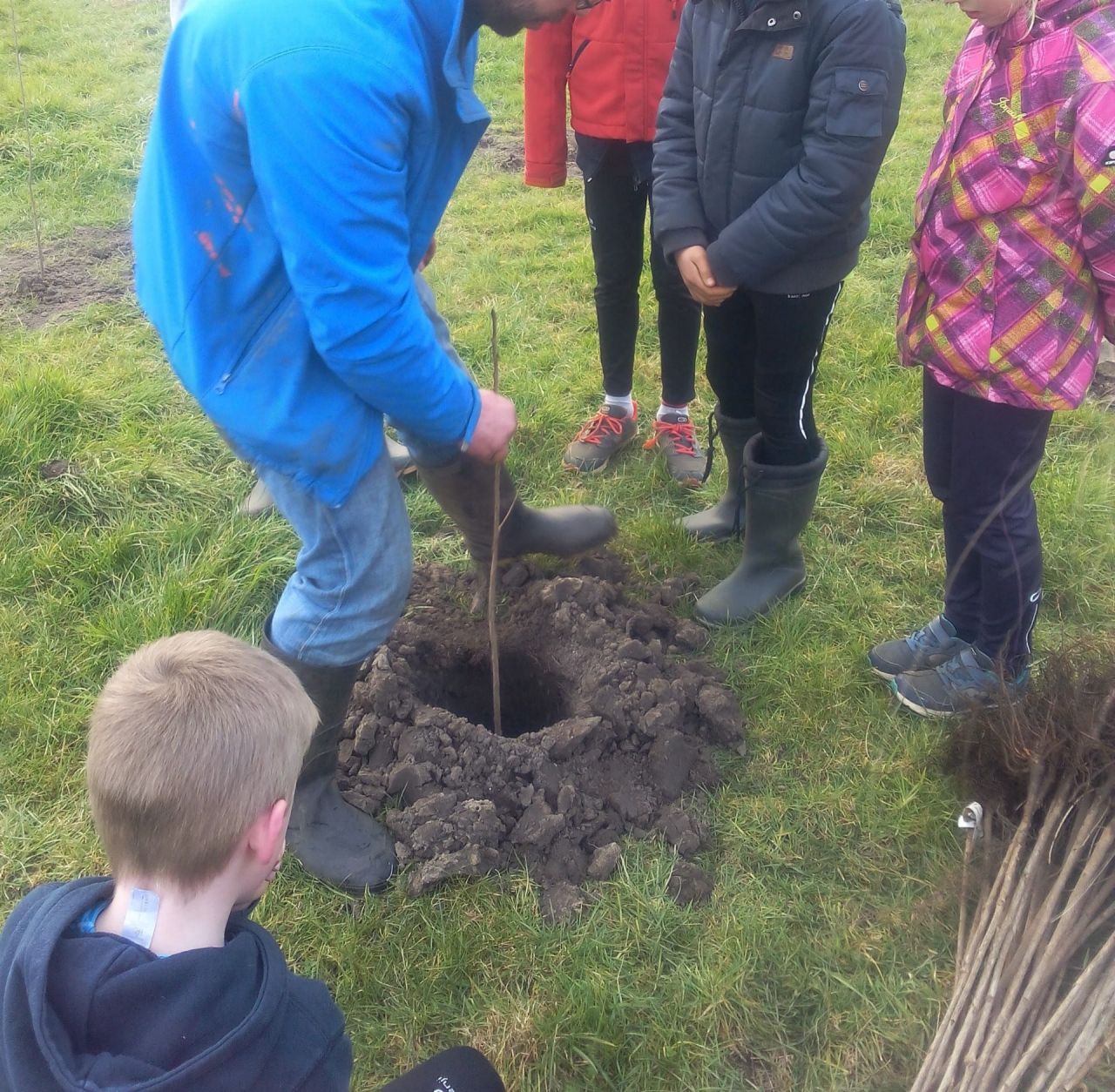 Bomen planten