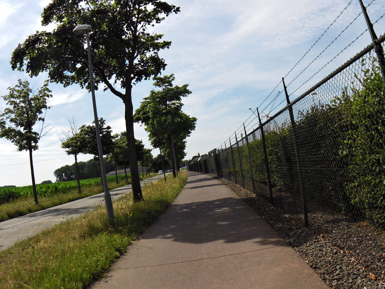 Lichterstraat in Puurs-Sint-Amands