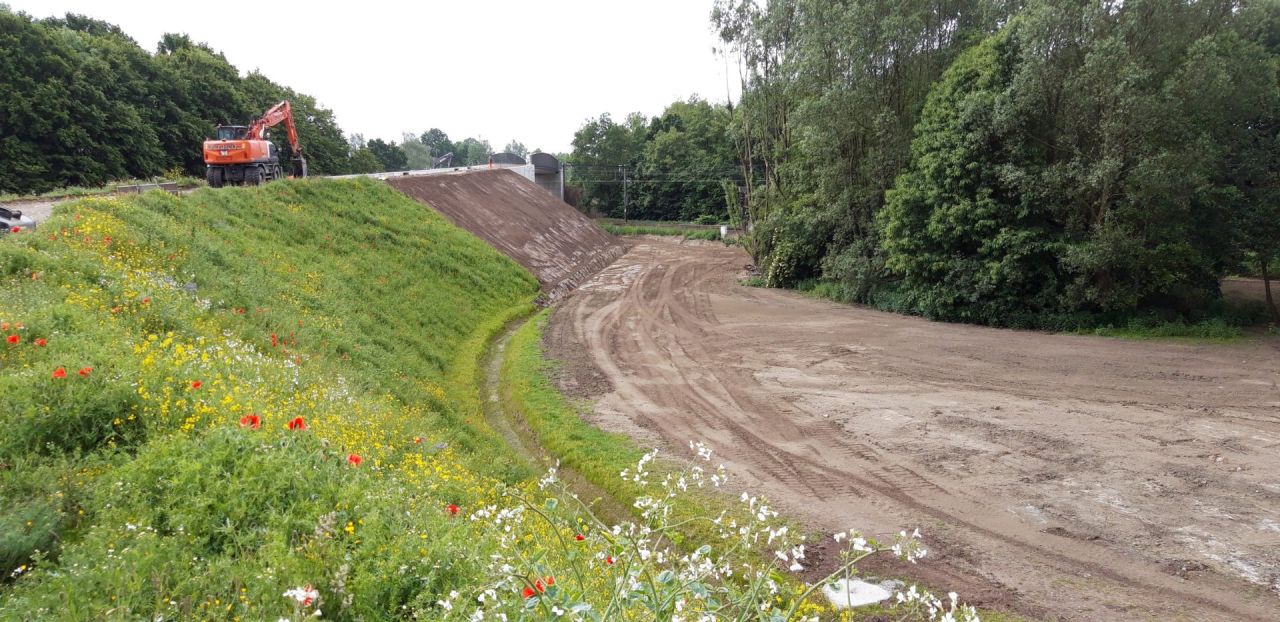 Ecologische berm