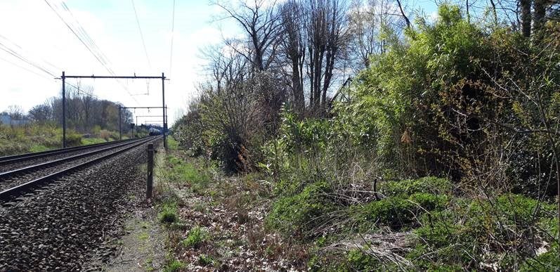 Fietsostrade F14 tussen Ekeren en Kapellen