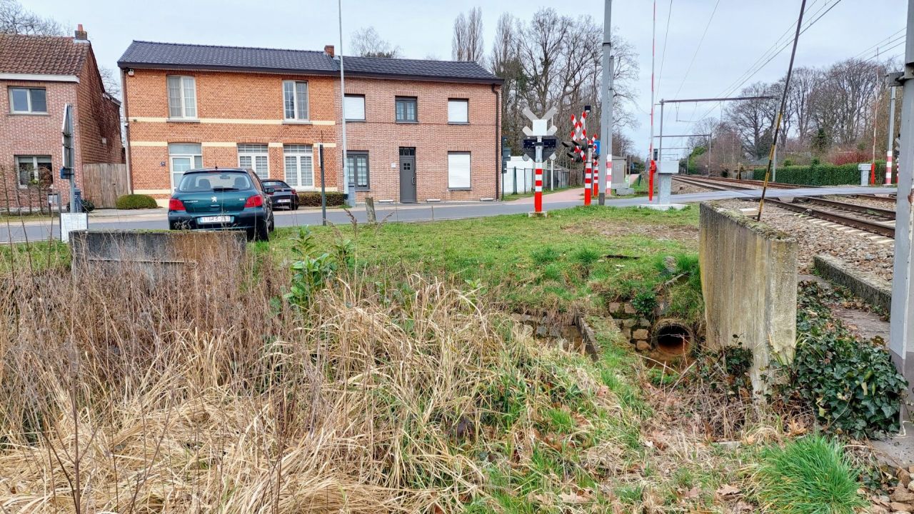 F14 Schriek-Vloeiende