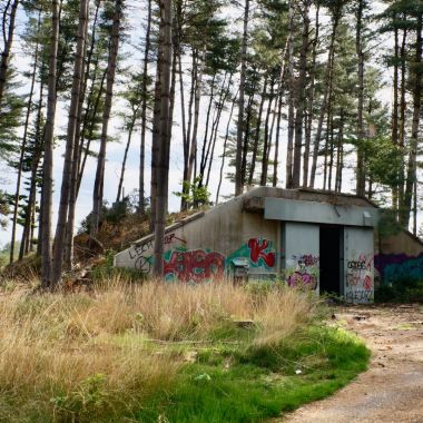 Foto van verlaten bunker op het militair domein van Arendonk