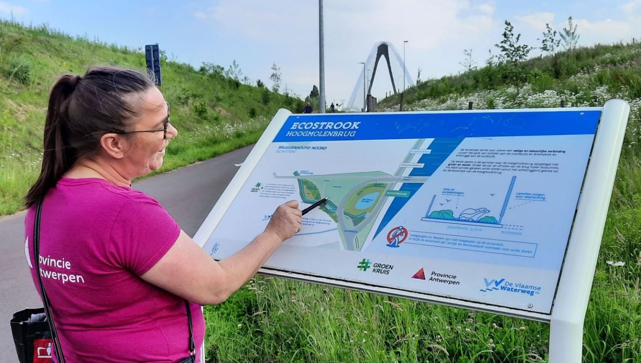 Een persoon staat bij een infobord, buiten in het gras. Het infobord draagt de titel 'Ecostrook'. Naast het infobord loopt een fietspad richting een brug, die in de verte zichtbaar is.